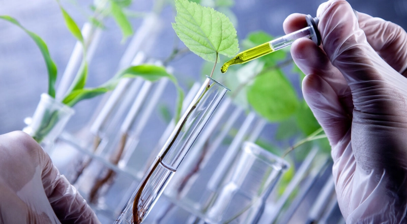 Развитие сельского хозяйства в приоритете