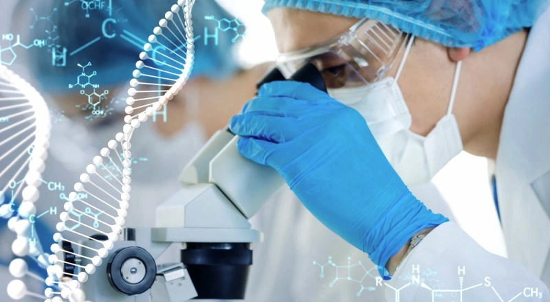 Образование в пользу здоровья