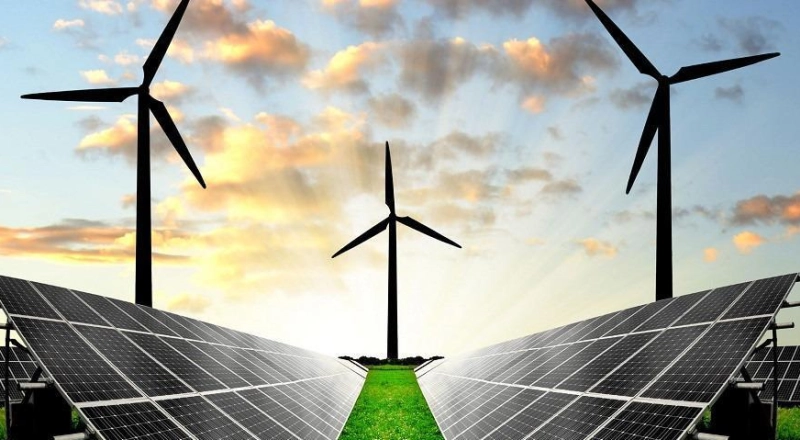 «Озеленение» в вузах