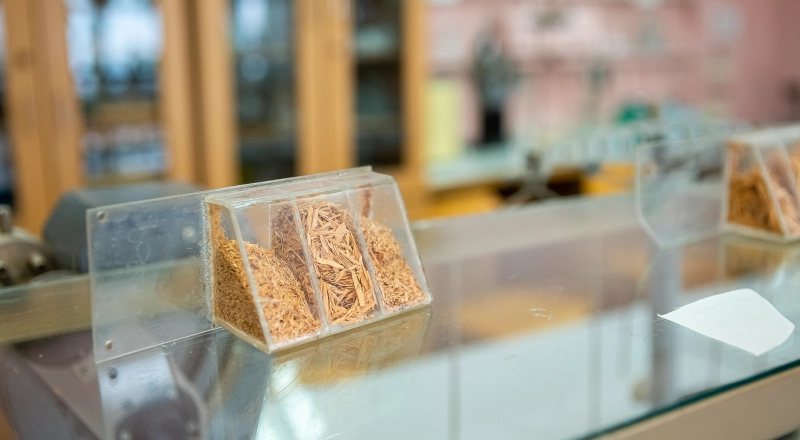 В Красноярске разработали экологичную технологию производства бруса