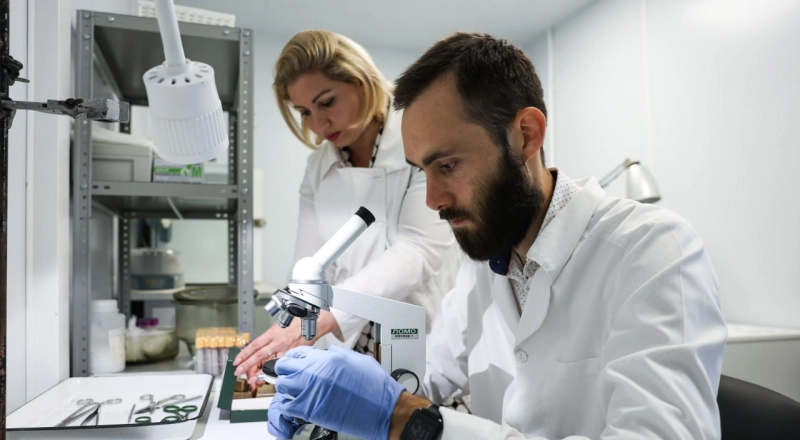 В СКФУ открывается факультет сельского хозяйства