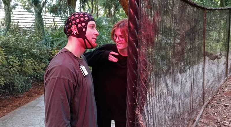 Уфимские ученые исследуют влияние деревьев на эмоциональное состояние человека