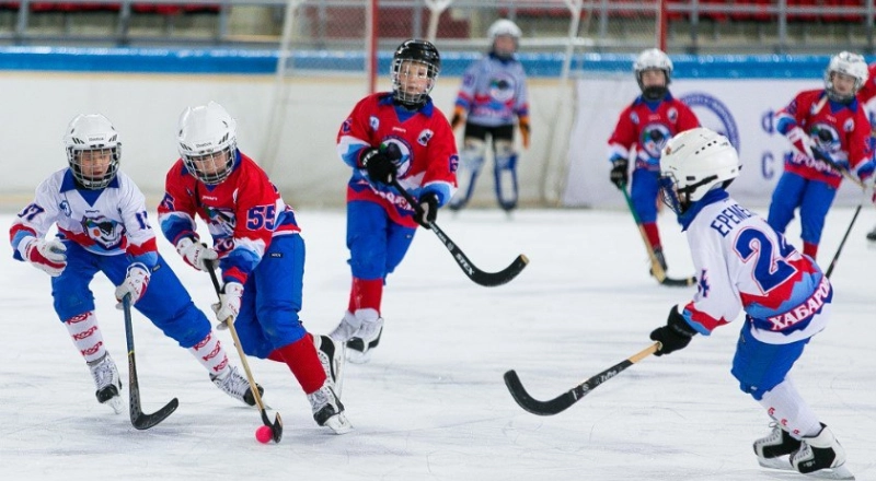 В ДВГАФК создали новый метод отбора детей в хоккей с мячом