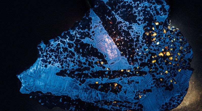 В Новосибирске создают базу данных образцов НОЦ «Эволюция Земли»