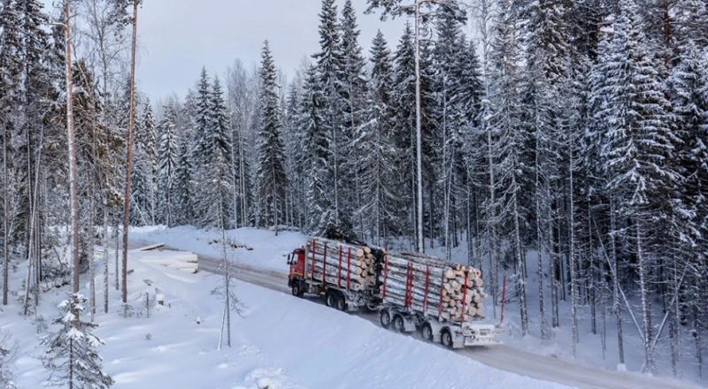 В Пермском Политехе нашли способ улучшить сцепление шин со снежными дорогами