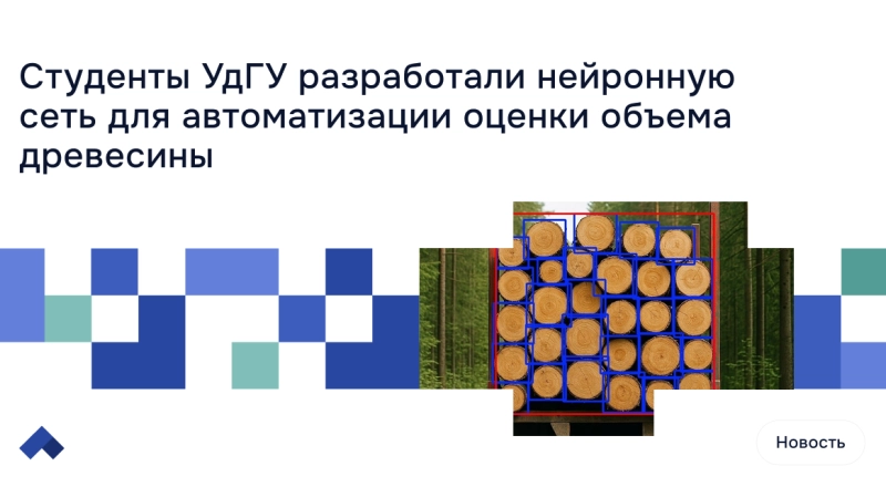 Студенты УдГУ разработали нейронную сеть для автоматизации оценки объема древесины