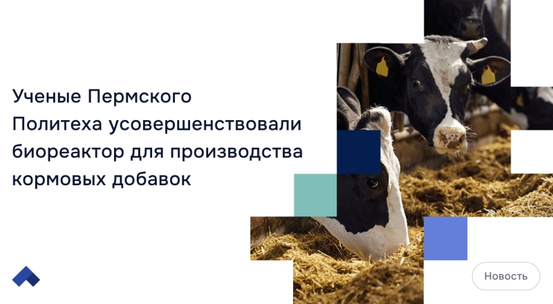 Ученые Пермского Политеха усовершенствовали биореактор для производства кормовых добавок · Витрина практик программы «Приоритет» | Страница 16 Ученые Пермского Политеха усовершенствовали биореактор для производства кормовых добавок