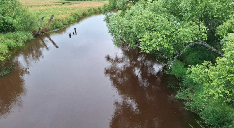 Ученые ПГУ им. Шолом-Алейхема и ДВО РАН оценивают экологическое здоровье региона