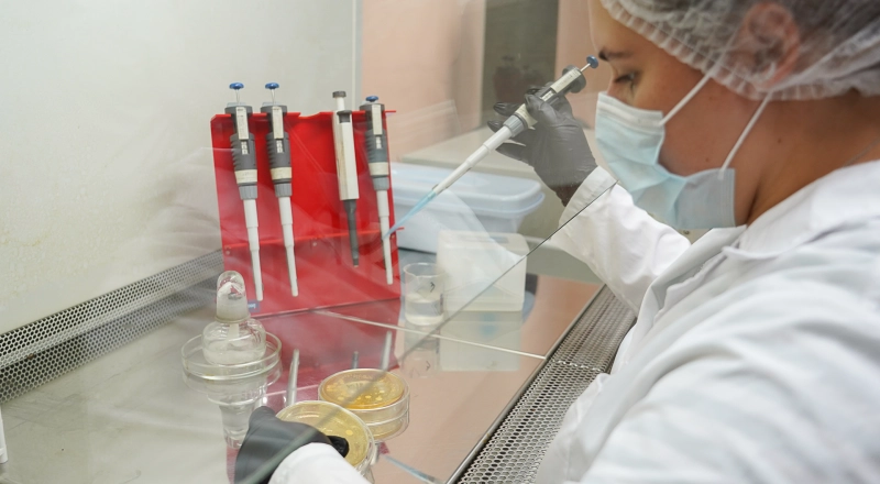 Ученые ВятГУ разработали биосурфактанты для защиты окружающей среды