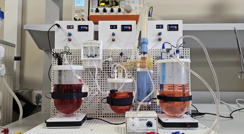 ЖКТ на службе у науки: в ДГТУ создают желудочно-кишечный тракт свиньи для тестирования ветеринарных препаратов.