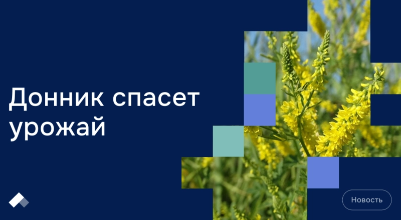 Ученые из СургУ научились продлевать жизнь овощам и фруктам