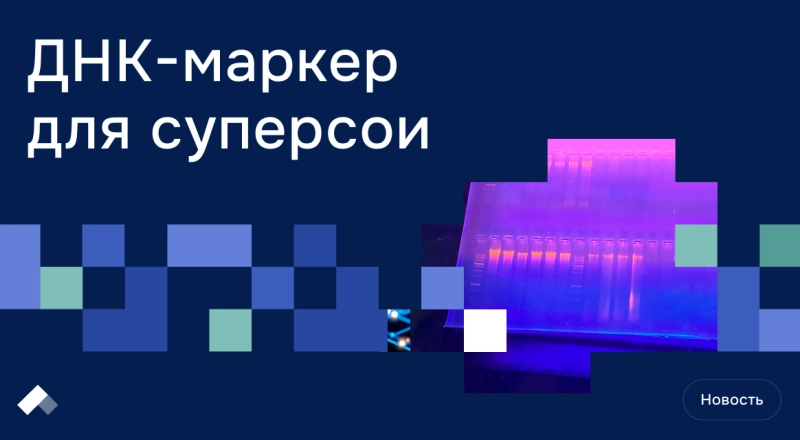 В Белгороде разработали молекулярный маркер — он выведет селекцию сои на новый уровень · Витрина практик программы «Приоритет» | Страница 13 В Белгороде разработали молекулярный маркер — он выведет селекцию сои на новый уровень