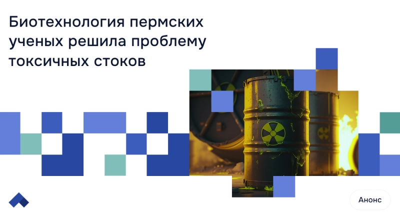 Ученые ПНИПУ разработали полностью безотходную технологию производства удобрений с помощью дрожжей · Витрина практик программы «Приоритет» | Страница 12 Ученые ПНИПУ разработали полностью безотходную технологию производства удобрений с помощью дрожжей