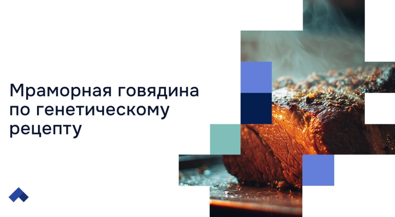 Ученые Тимирязевки нашли способ улучшить вкус и ценность говядины · Витрина практик программы «Приоритет» | Страница 9 Ученые Тимирязевки нашли способ улучшить вкус и ценность говядины