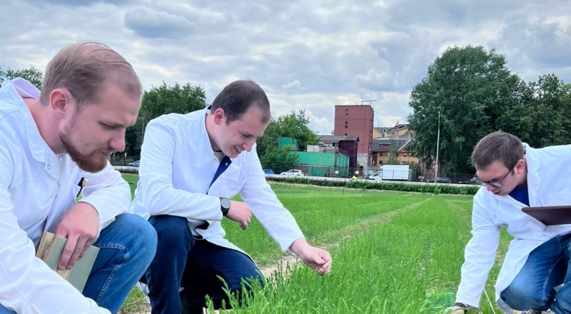 Суперурожай по науке: в Тимирязевской академии повысили всхожесть льна на 18% · Витрина практик программы «Приоритет» | Страница 8 Суперурожай по науке: в Тимирязевской академии повысили всхожесть льна на 18%