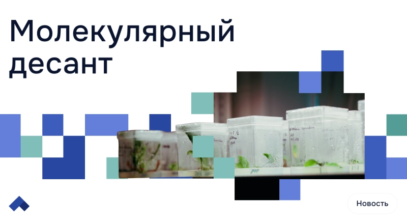 Ученые из СибГМУ научились доставлять лекарственные вещества из растений внутрь клетки · Витрина практик программы «Приоритет» | Страница 7 Ученые из СибГМУ научились доставлять лекарственные вещества из растений внутрь клетки