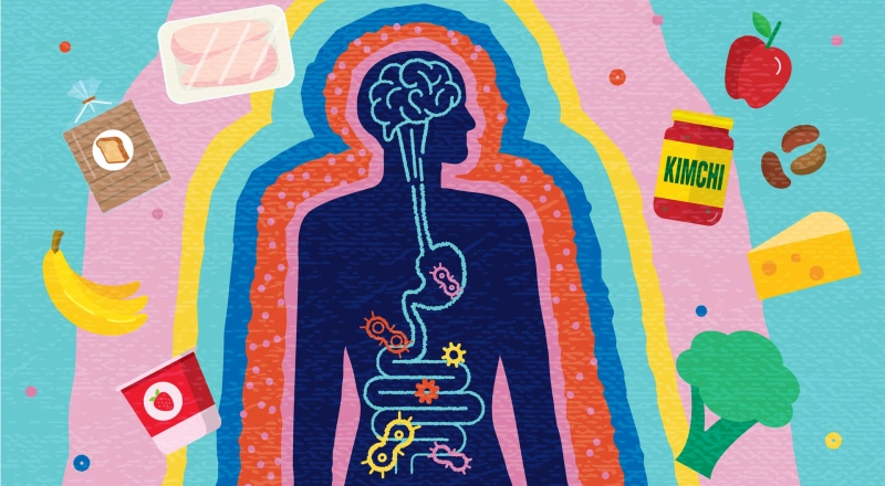 В Политехе Петра Великого запускают цифровой курс по нутрициологии · Витрина практик программы «Приоритет» | Страница 4 В Политехе Петра Великого запускают цифровой курс по нутрициологии