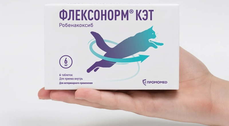 Ученые ДГТУ провели испытания нового анальгетического препарата для кошек · Витрина практик программы «Приоритет» | Страница 4 Ученые ДГТУ провели испытания нового анальгетического препарата для кошек