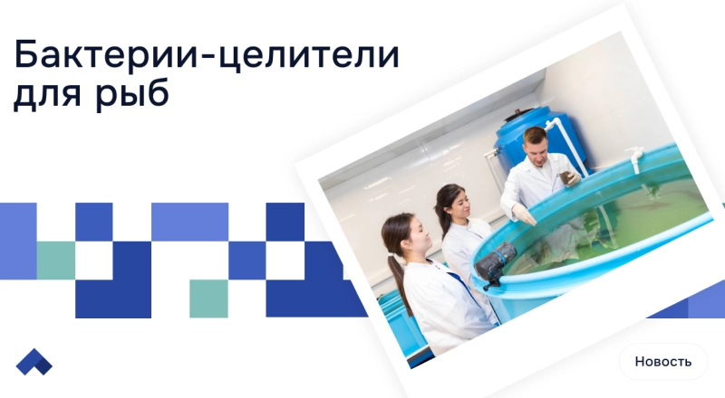 Ученые ДГТУ создают новые синбиотики для аквакультуры · Витрина практик программы «Приоритет» | Страница 3 Ученые ДГТУ создают новые синбиотики для аквакультуры