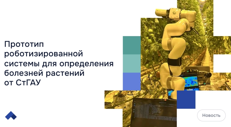 Ставропольские ученые научили нейросеть распознавать заболевания культур · Витрина практик программы «Приоритет» | Страница 3 Ставропольские ученые научили нейросеть распознавать заболевания культур