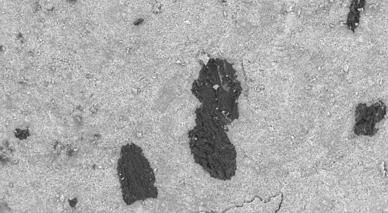 ЮУрГУ создаст керамику для замены импортных подшипников в нефтегазовой отрасли · Витрина практик программы «Приоритет» | Страница 3 ЮУрГУ создаст керамику для замены импортных подшипников в нефтегазовой отрасли