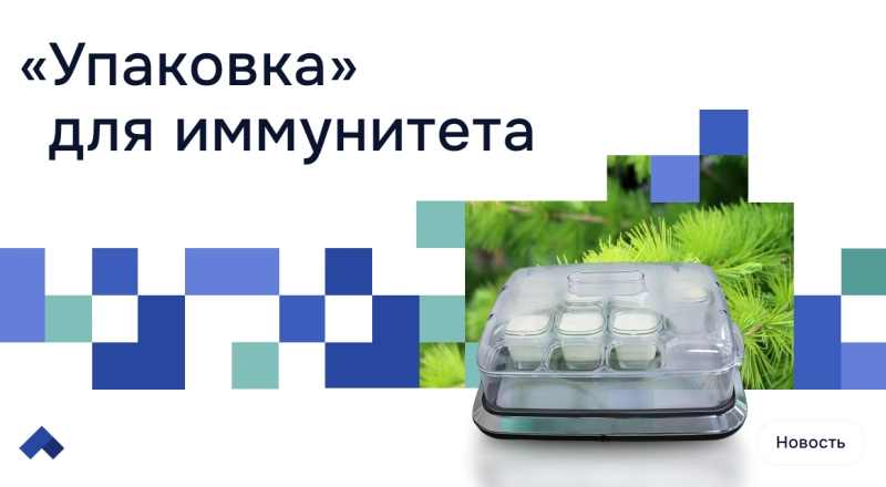 Ученые СКФУ «запечатали» природный антиоксидант таксифолин в молочный белок · Витрина практик программы «Приоритет» | Страница 3 Ученые СКФУ «запечатали» природный антиоксидант таксифолин в молочный белок