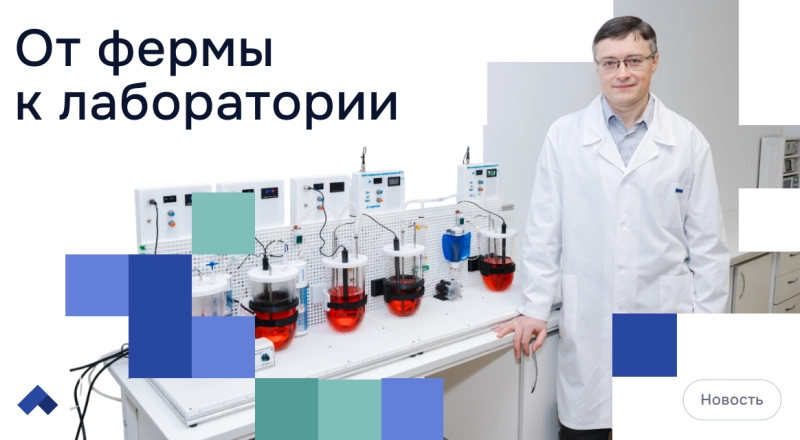 Донские ученые представили искусственный ЖКТ свиньи, который заменит животных в научных испытаниях