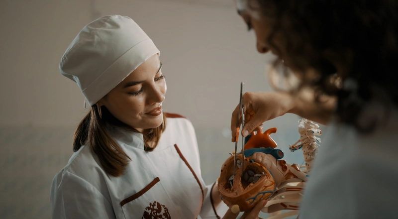 Ученые СибГМУ изучили влияние игровых методик на стресс студентов · Витрина практик программы «Приоритет» Ученые СибГМУ изучили влияние игровых методик на стресс студентов