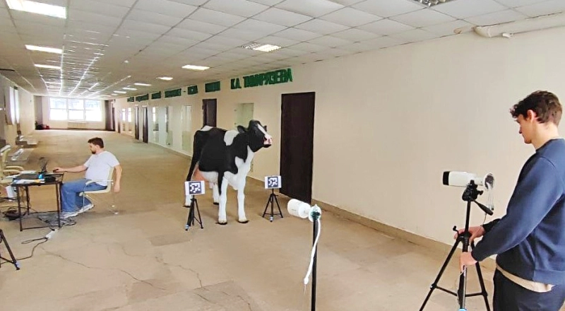 Витрина практик программы «Приоритет» Цифровой портрет вместо рулетки: в Тимирязевке разработали новый способ бесконтактной оценки коров